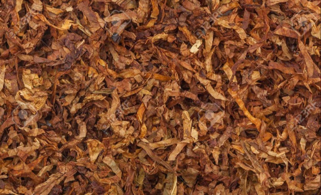 Close-up of ribbon cut tobacco texture